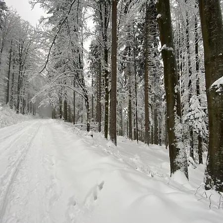 公寓 Vyhlidka Hamry (Pilsen)