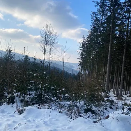 Vyhlidka 公寓 Hamry (Pilsen)
