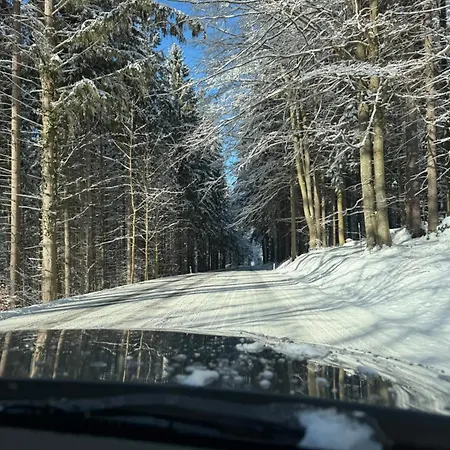 Vyhlidka 公寓 *